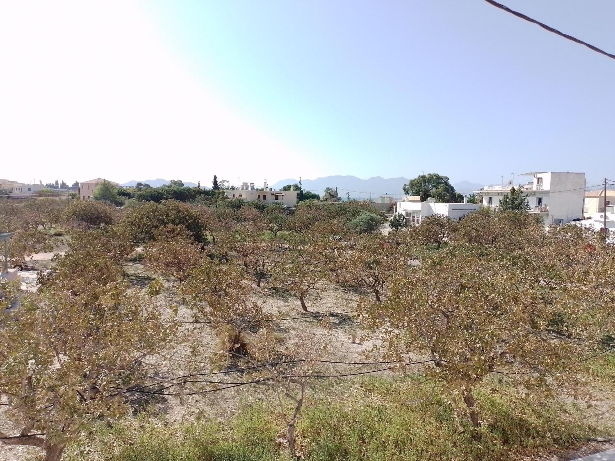 Miranta Hotel - Apartments & Studios Aegina Luaran gambar